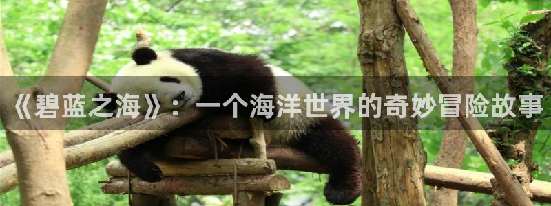 亲亲漫画网韩漫