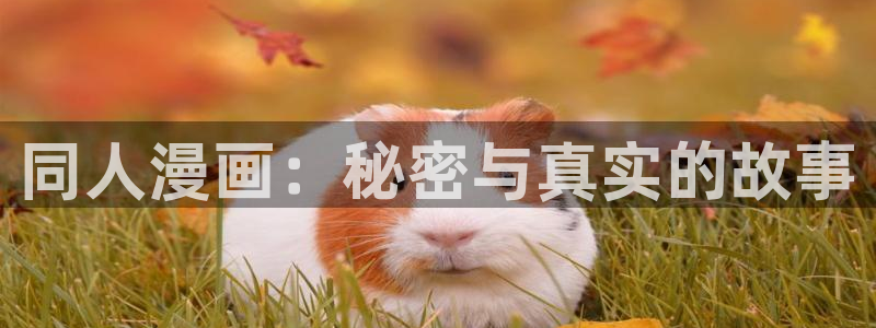 看韩漫画的网站：同人漫画：秘密与真实的故事