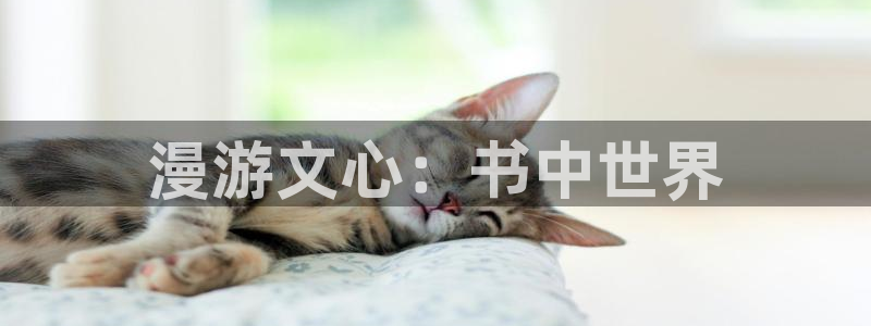观看韩漫网站：漫游文心：书中世界