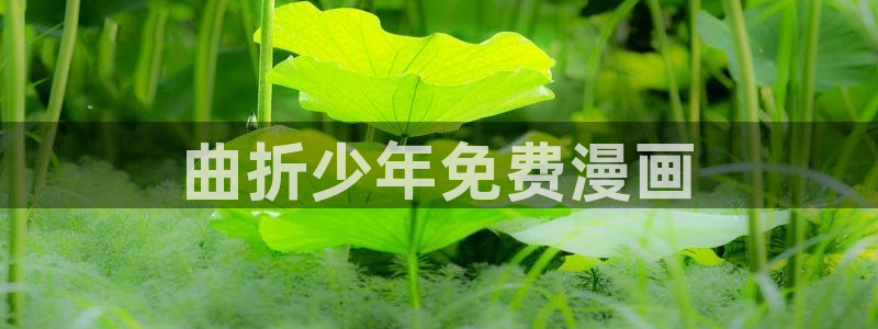 看韩漫漫画app十大排名：曲折少年免费漫画
