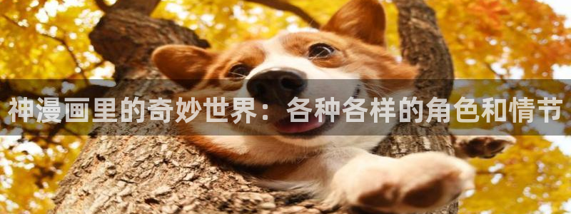 韩漫之家网站：神漫画里的奇妙世界：各种各样的角色和情节