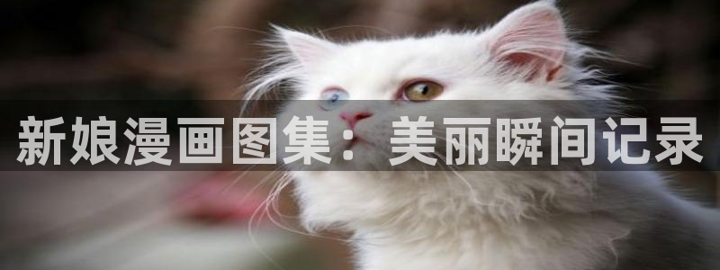 龙的新娘韩漫画免费阅读无删减