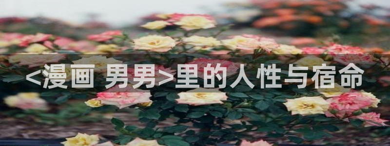 韩漫漫画女神